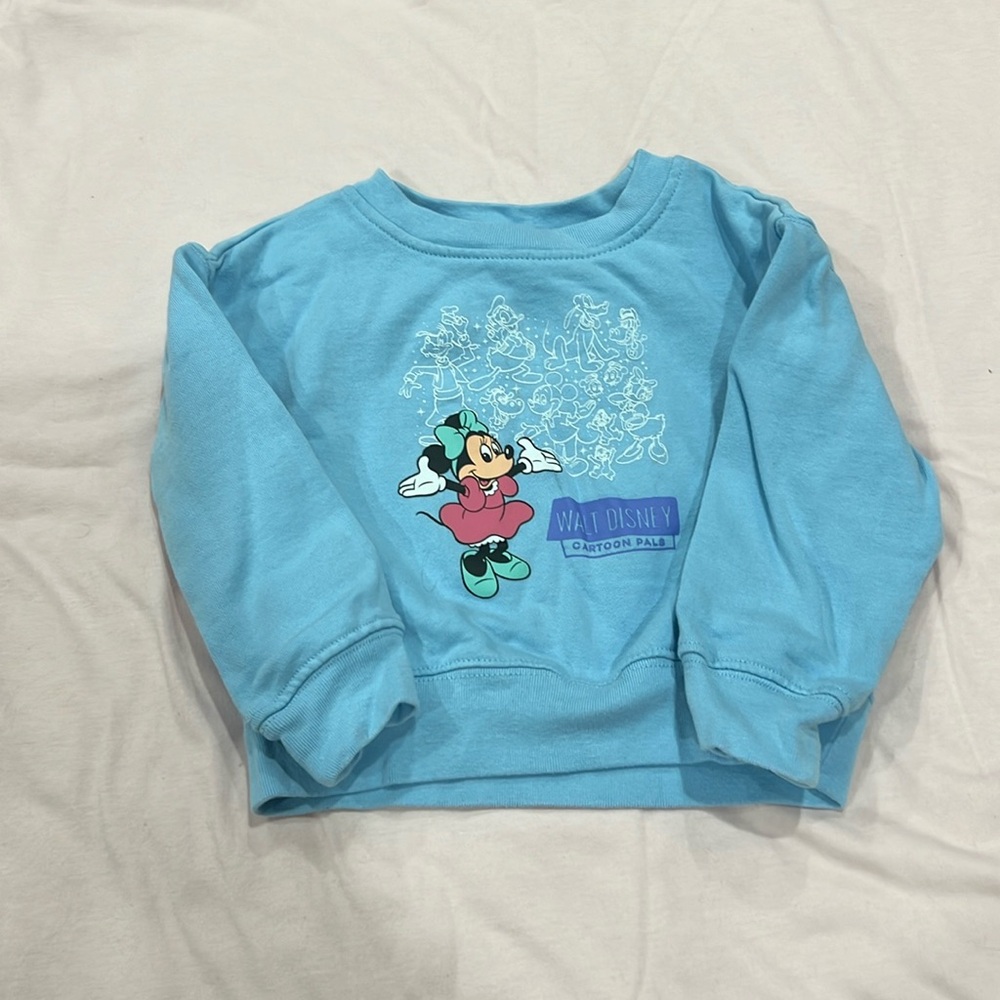 Disney park’s sweatshirt